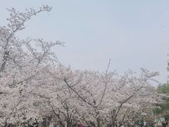 -堤角公园