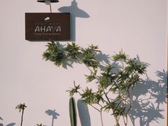 -AHAVA·Fang Baking Studio