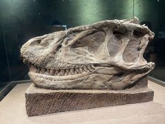 -自贡恐龙博物馆