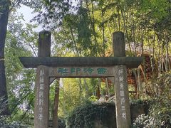 -西泠印社