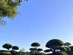 -南宁南湖公园