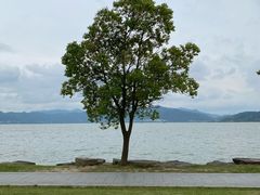 -东钱湖旅游度假区