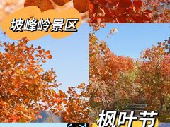 -周口店坡峰岭风景区