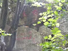-吊水壶国家森林公园