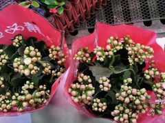 -三旗百汇商品城