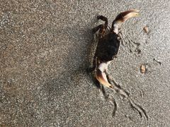 -南澳海滩