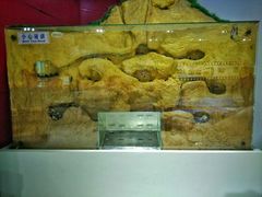 -上海昆虫博物馆