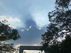 -东莞植物园