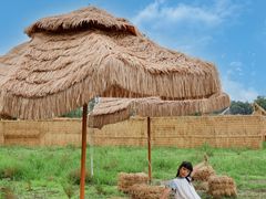 -中国天府农业博览园