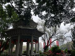 -荔湾湖公园