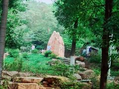 -东莞植物园