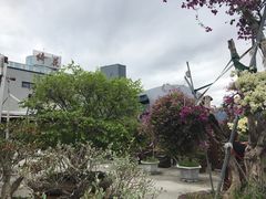 -绮丽珊瑚博物馆(台东店)
