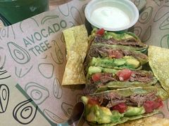 -油梨树AVOCADO TREE(望京店)
