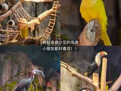 -正佳雨林生态植物园