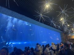 -华夏文旅西安度假区