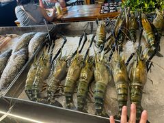 -席娜卡琳火车铁道夜市