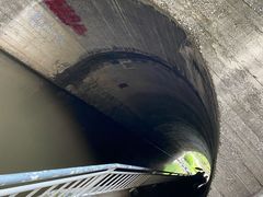 -白水寺森林公园