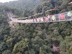 -九龙江国家森林公园