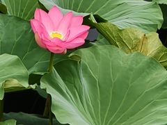 -长春市南湖公园