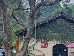 -村上春树