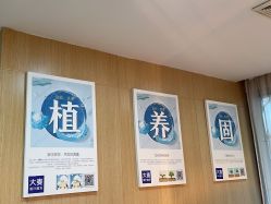 -大麦微针植发丨全国连锁
