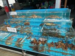 -上海龙吴水胜海发市场