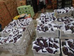 -西郊国际农产品交易中心