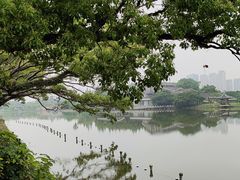 -江心屿景区