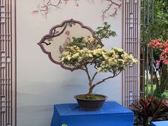 -上海方塔园