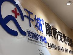 -千城康桥宠物医院·猫科·骨科·心脏