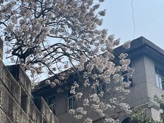 -山城巷传统风貌区