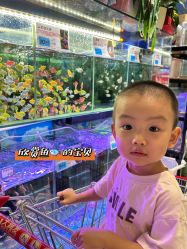 -木马王国(萧山银隆店)