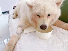 -北京恒爱动物医院(清景园分院)