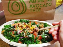 -油梨树AVOCADO TREE(望京店)