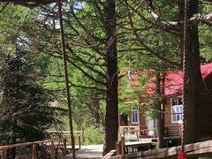 -塞罕坝国家级自然保护区