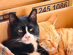 -颓记茶餐厅(美景总店)