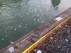 -DGE季风钓虾营地·团建·聚会