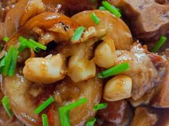 -优护优家Ucare月嫂育儿嫂陪伴师(静安店)