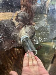 点击看大图 -Zoolung Zoolung动物主题公园(海信广场店)