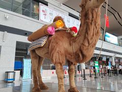 -敦煌莫高国际机场