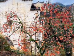 -篁岭景区