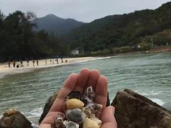 -杨梅坑