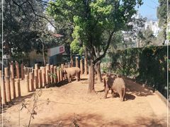 -昆明动物园