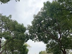 -东钱湖旅游度假区