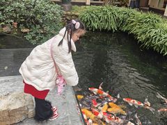 -寻味顺德·顺峰山庄(大良店)