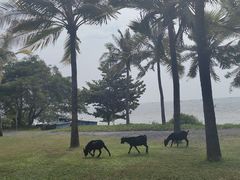 -三亚西岛海洋文化旅游区