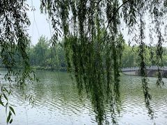 -洋湖国家湿地公园