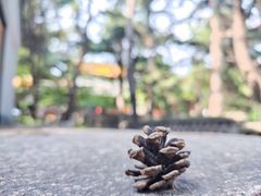 -湛山寺