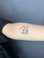 -刺客纹画·纹身·洗纹身.穿孔饰品