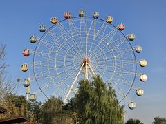 -中华郡文化旅游景区